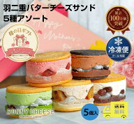 【母の日限定!!】限定スリーブ＋メッセージカード付き【RUNNYCHEESE】【羽二重5種アソート】 冷凍 ラニー…