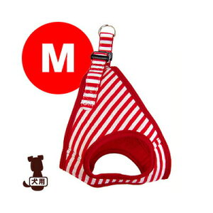 XgCv\tgn[lX M bhzCg 쐻쏊 a ybg ObY  hbO ANZT[ 