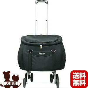 XC[gn[g bN^Cv ybgJ[g L ubN `12kg t@^W[[h w ybg ObY  hbO @\  s