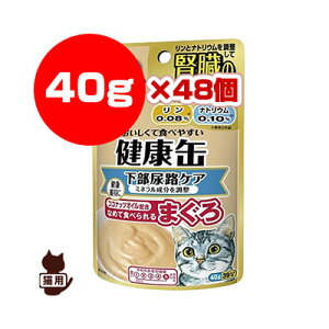 VjALp N AHPA 40g×48 ACVA a ybg t[h L Lbg EFbg pE`