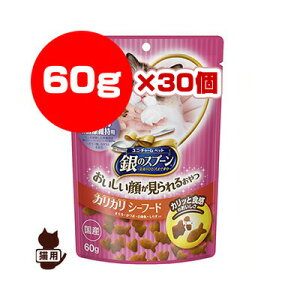 ̃Xv[ nbs[N` ťNێp V[t[h 60g×30 j`[ a ybg t[h L Lbg 