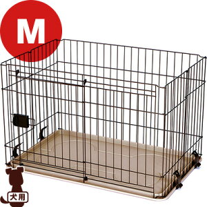 thT[N XChhA M }J a ybg ObY  hbO P[W y XChhA gȒP DP-458