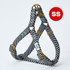 p tbV\tgn[lX SS ubN yeBI a ybg ObY  hbO R  ʔ 炩e[v Petio