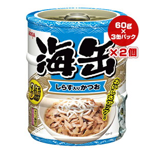 C 炷肩 [[^Cv 60g×3ʃpbN×2 ACVA a ybg t[h L Lbg EFbg r^~E IS Pʋ ~j3P