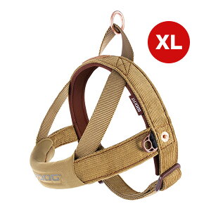 C[W[hbO NCbNn[lX R[fC XL V g ybg ObY  hbO ANZT[  EZYDOG