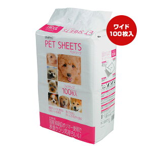 y̔!!zybgV[c ChTCY 100 ybgv a ybg ObY  hbO gC sDz Yz|}[gp