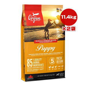 �I���W�� �p�s�[ 11.4kg×2�� �`�����s�I���y�b�g�t�[�Y ��t �y�b�g �t�[�h �� �h�b�O �h���C �q�� ORIJEN ���������y���K�i�z
