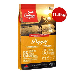 �I���W�� �p�s�[ 11.4kg �`�����s�I���y�b�g�t�[�Y ��t �y�b�g �t�[�h �� �h�b�O �h���C �q�� ORIJEN ���������y���K�i�z
