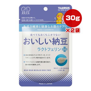 N [ NgtFvX 30g×2 g[X a ybg t[h  hbO L Lbg Tvg h{⊮H Pʋ Ɖu͈ێ Y 䂤pPbg