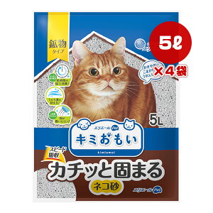 GG[ L~ J`bƌł܂ lR 5L×4 剤 a ybg ObY L Lbg gC L ͏L z^Cv Xs[hz