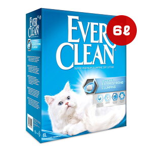 Go[N[ ^Cv 6L V g ybg ObY L Lbg gC L xgiCg L ł܂