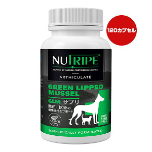 j[gCv GLMTv 120JvZ t@^W[[h w ybg t[h  hbO L Lbg Tvg ΃CL100 ֐  NUT3607 NUTRIPE