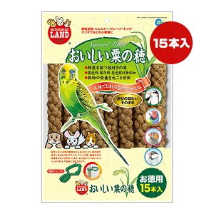 ̕ p 15{ }J a ybg t[h   CR  nX^[ v[[hbO `` XgX ~j}h