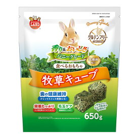 食べるおもちゃ 牧草キューブ 650g マルカン ▼a ペット フード 小動物 ウサギ ハムスター モルモット チンチラ プレーリードッグ デグー グルテンフリー 乳酸菌 歯の健康維持 毛玉ケア 補助食 ミニマルランド