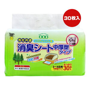 eЋ VXegCp LV[g ^^Cv 30 X[p[Lbg a ybg ObY L Lbg R tBg`bgGLXz