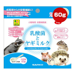 _ۂƃM~N 60g OW a ybg t[h  tNK nlY~ nX^[ V}X tFbg h{⏕H h{ ᎉb ɂ₳ ێ  pE