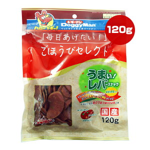 قуZNg ܂Io[XibN ΉFؓ 120g hM[} a ybg t[h  hbO  XibN `bvX S r^~ Y DoggyMan