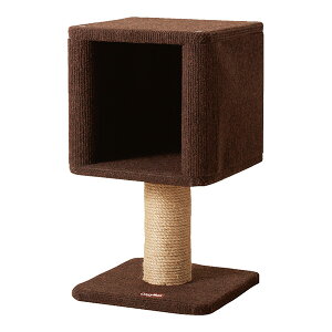 _[ RpNgɂ{bNX LeB[} a ybg ObY L Lbg t@j`[ ܖ Xebv CattyMan