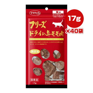 t[YhC̋ Lp 17g×40 }}NbN g ybg t[h L Lbg  Y Y 