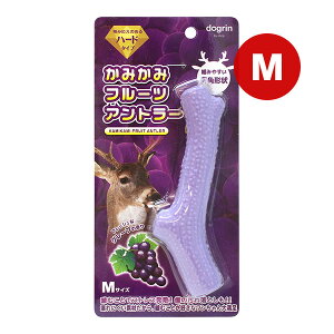 ݂݃t[cAg[ tbVȃO[v̍ MTCY X[p[Lbg a ybg ObY  hbO  f^gC n[h^Cv XgXU