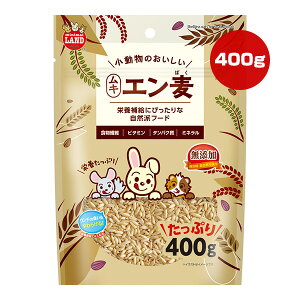 ̂ L G 400g }J a ybg t[h   nX^[ bg Y ~j}h ML-540