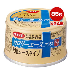 J[G[X vX p[X^Cv 85g×24 frt a ybg t[h  hbO EFbg SiK h{H Y dbf 1085