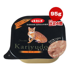 y̔!!zJh r[t 95g×24 frt a ybg t[h L Lbg EFbg gC SiK h{H Y Kariyudo dbf 1450