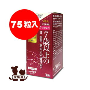 Lp AN VjA̎q 75 g[Xa ybg ObY hbO Lbg  L 7Έȏ h{⋋