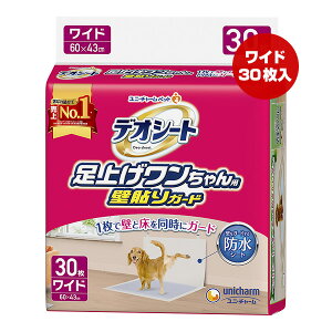 fIV[g グp Ch 30 j`[ a ybg  hbO gC