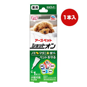 ���i�摜