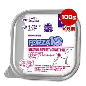 �t�H���c�@10 �C���e�X�e�B�i�� �A�N�e�B�E�F�b�g ���p 100g×6�� NASTA ��g �y�b�g �t�[�h �� �h�b�O �g���C �p�e�^�C�v �ݒ� �T�[���� FORZA10 ACTIWET