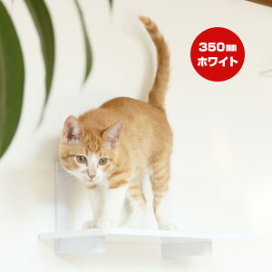 Lbg[hvX LbgXebv zCg 350mm Aj}R c ybg ObY L Lbg tȒP EH[N ^[ c[ DIY lC IV   S { Catroad+ animacolle 