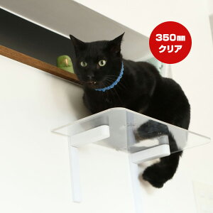 Lbg[hvX LbgXebv NA 350mm Aj}R c ybg ObY L Lbg tȒP EH[N ^[ c[ DIY lC IV   S { Catroad+ animacolle 