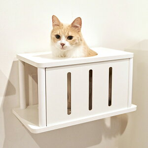 Lbg[hvX Lbggl zCg Aj}R c ybg ObY L Lbg tȒP EH[N ^[ c[ DIY lC IV   S { Catroad+ animacolle 