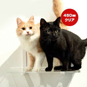 Lbg[hvX ChXebv NA 450mm Aj}R c ybg ObY L Lbg tȒP EH[N ^[ c[ DIY lC IV   S { Catroad+ animacolle 