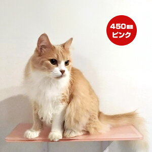 Lbg[hvX J[Xebv sN 450mm Aj}R c ybg ObY L Lbg tȒP EH[N ^[ c[ DIY lC IV  S { Catroad+ animacolle 