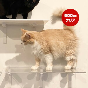 Lbg[hvX OXebv NA 600mm Aj}R c ybg ObY L Lbg tȒP EH[N ^[ c[ DIY lC IV   S { Catroad+ animacolle 