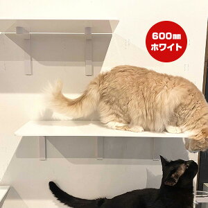 Lbg[hvX OXebv zCg 600mm Aj}R c ybg ObY L Lbg tȒP EH[N ^[ c[ DIY lC IV   S { Catroad+ animacolle 