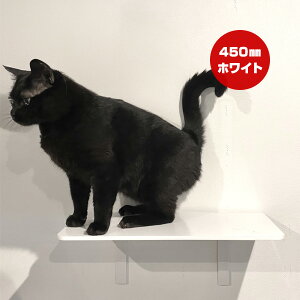 Lbg[hvX ChXebv zCg 450mm Aj}R c ybg ObY L Lbg tȒP EH[N ^[ c[ DIY lC IV   S { Catroad+ animacolle 