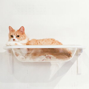 Lbg[hvX LbgoX Aj}R c ybg ObY L Lbg tȒP EH[N ^[ c[ DIY xe lC IV NA  S { Catroad+ animacolle 