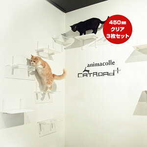 Lbg[hvX ChXebv NA 450mm 3Zbg Aj}R c ybg ObY L Lbg tȒP EH[N ^[ c[ DIY lC IV   S { Catroad+ anima