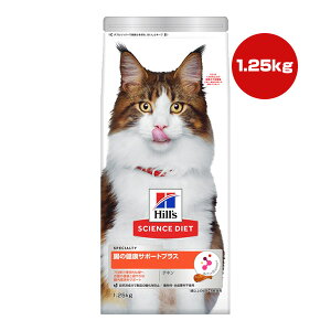 qY TCGX_CGbg ̌NT|[gvX 1Έȏ̐LELp `L 1.25kg a ybg t[h L Lbg