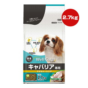 EFPA LoAp A_g`VjA 2.7kg[900g×3] C[X^[ a ybg t[h  hbO   h{H Y WellCare YEASTER