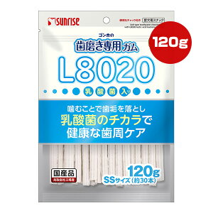 S̎pK L8020_ۓ 120g[SSTCY30{] }J TCY a ybg t[h  hbO  C PA Y SUNRISE