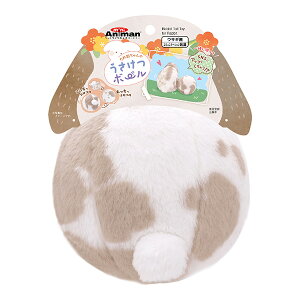 ꎨ̂{[ hM[}nV a ybg ObY    R~jP[Vߋ ~jAj}