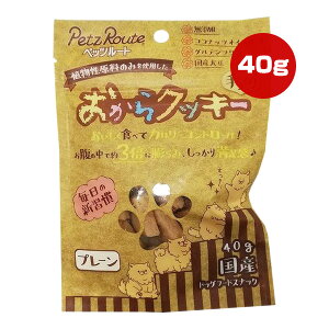 NbL[ v[ 40g ybc[g a ybg t[h  hbO  Y RRibcIC Oet[ Y哤 PetzRoute