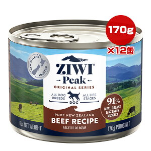 WEBs[N EFbg hbOt[h OXtFbhr[t 170g×12 t ybg t[h  hbO ZIWI 