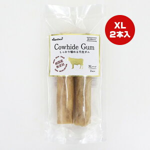 nbs[fCY Y Y 芚߂鋍K XLTCY 2{ ybgv a ybg t[h  hbO  PetPro HappyDays