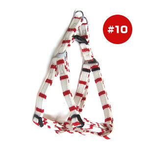 jbg{[_[n[lX #10 bh 쐻쏊 a ybg ObY  hbO L Lbg ANZT[  䂤pPbg