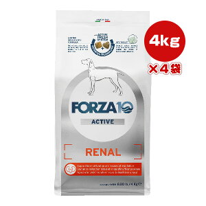 tHc@10 i[ANeBu ~fBA 4kg×4 g ybg t[h  hbO t h{H FORZA10 